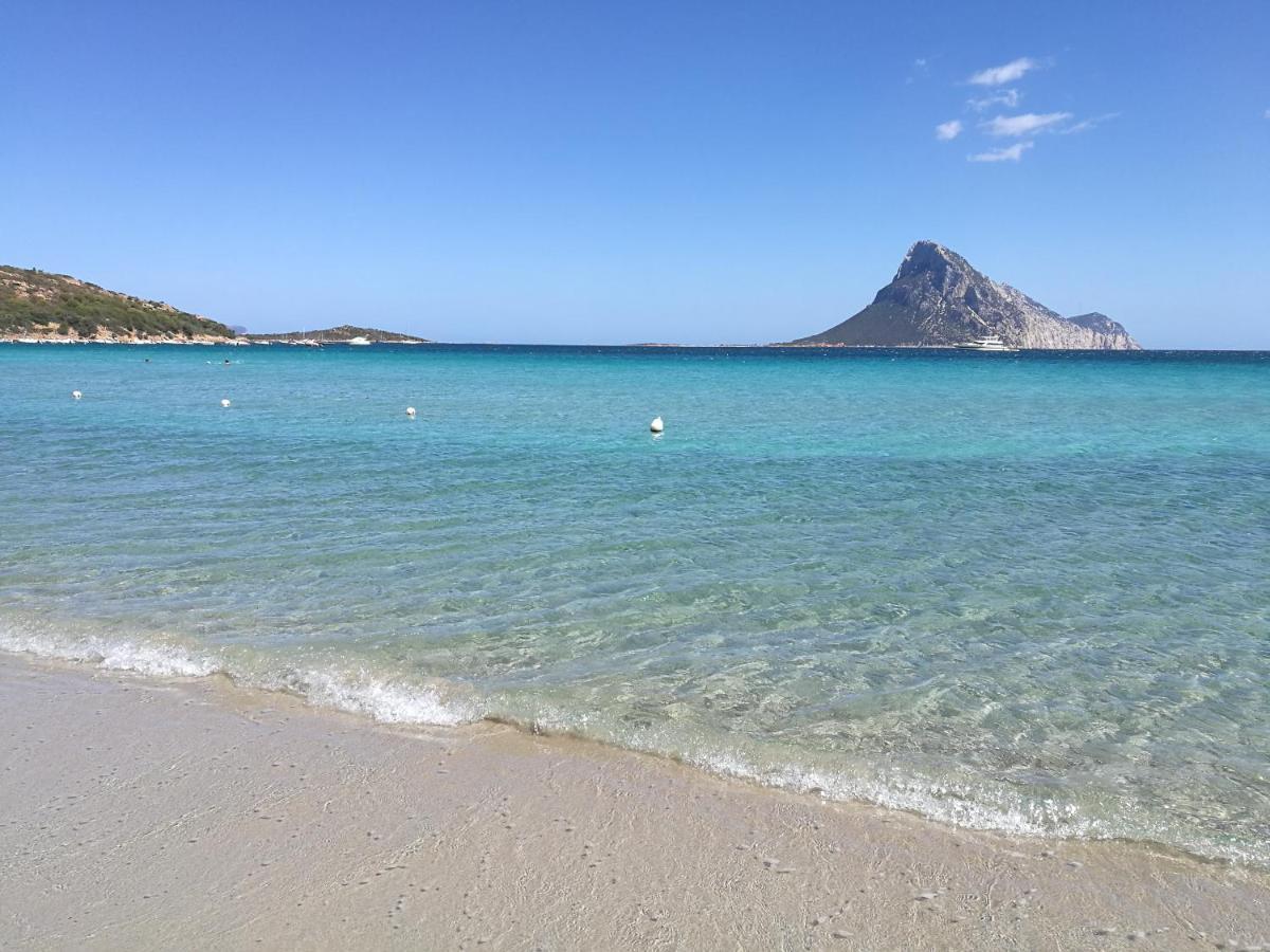 Splendida Villetta Tavolara 2 Vaccileddi Buitenkant foto